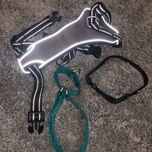 2 dog collars and 1 dog harness